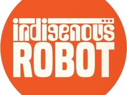Image for Indigenous Robot