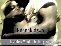 Tashaboy_Vandal
