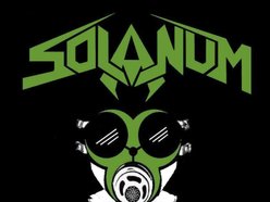 Image for SOLANUM