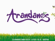 Arandanos