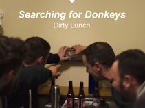 Searching For Donkeys