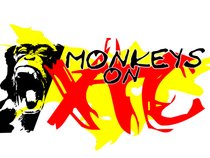 Monkeys on XTC