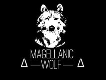 Magellanic Wolf