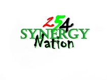 254 Synergy Nation