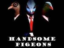 Handsome Pigeons