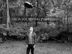 Image for Delta Sol Revival