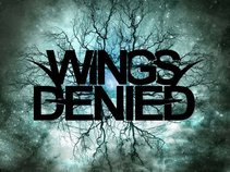 Wings Denied