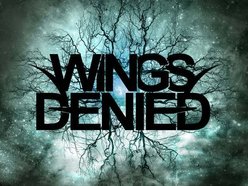 Image for Wings Denied
