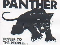 panther power