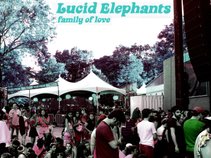 Lucid Elephants