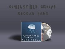Combustible Groove- Hawaii