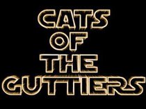 Cats Of The Guttiers