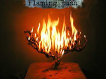 Flaming Bush