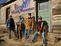 Blue Rooster