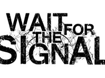 Wait For The Signal