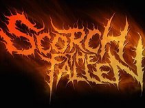 Scorch The Fallen