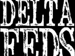 Image for The Delta Federation