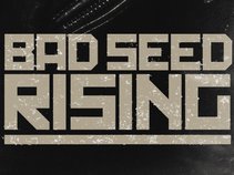 Bad Seed Rising Band