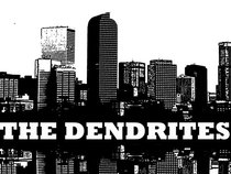 The Dendrites