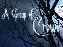 A group of crows
