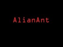 AlianAnt