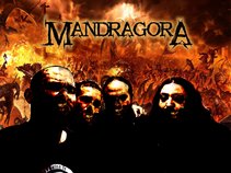 MandragorA