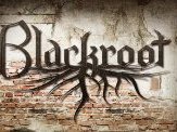 Image for BLACKROOT