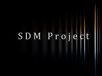 SDM Project