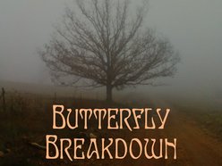 Image for Butterfly Breakdown