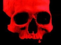 Red Skull & Bones