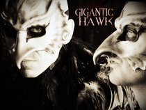 Gigantic Hawk