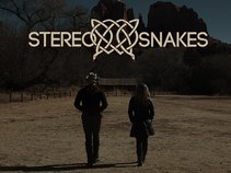 Stereo Snakes