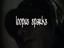 LoopusSparks