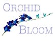 Orchid Bloom