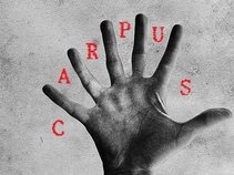 Carpus