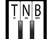 TnB Records Inc.