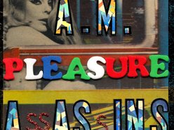 Image for A.M. Pleasure Assassins
