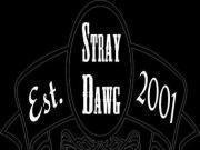 Stray Dawg Records