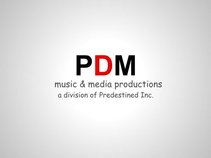 PDM music & media productions