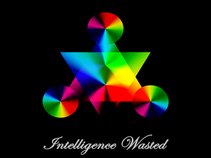 Intelligence Wasted