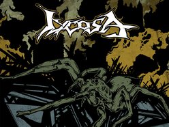 Image for Lycosa