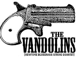 Image for The Vandolins