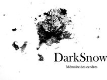 DarkSnow