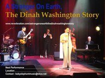 A Stranger On Earth - The Dinah Washington Story