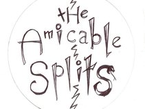 The Amicable Splits