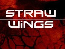 Straw Wings