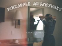 Pineapple Adventures