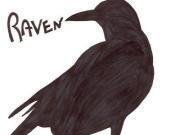Image for Raven Marcus