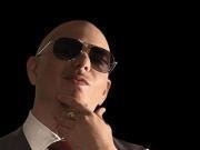 Pitbull (Mr World Wide)