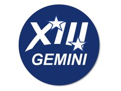 Image for Gemini 13